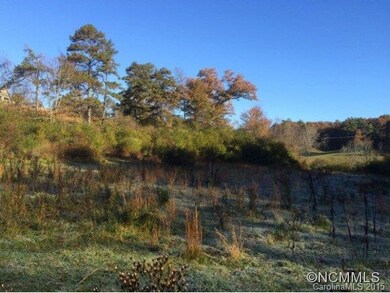 unlisted-address, Leicester, NC 28806 - photo 4