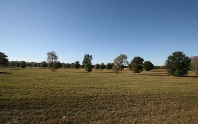 LOT72 Mandiba Dr, Lake City, FL 32024 - photo 2