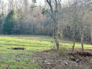 Lot 6 Hensley Rd, East Bernstadt, KY 40729 - photo 5