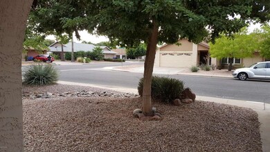 Front yard