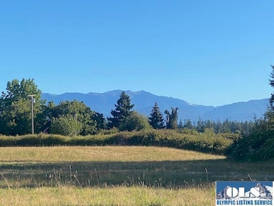 NKA Taylor Ranch Rd, Sequim, WA 98382 - photo 4