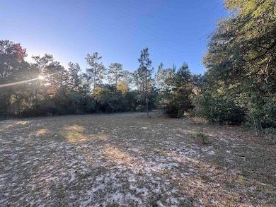 153 Davidson St, Quincy, FL 32351 - photo 4