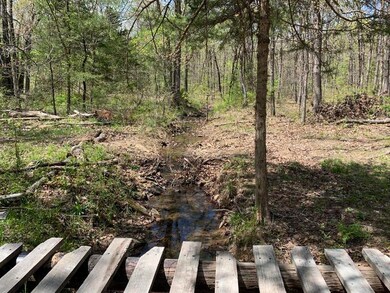 2900 E 1700 Rd, Benton Township, MO 64756 - photo 2