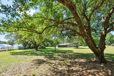 Mature Trees