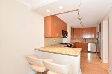 Seville unit 12AB, Flushing, NY 11360 - photo 3