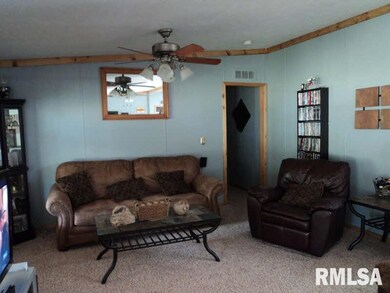 1205 Dorris Heights Rd, Harrisburg, IL 62946 - photo 4