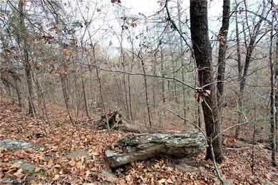TBD Lazy Brook Rd, Rudy, AR 72952 - photo 6