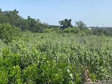 14702 Iron Horse Way, Helotes, TX 78023 - photo 6