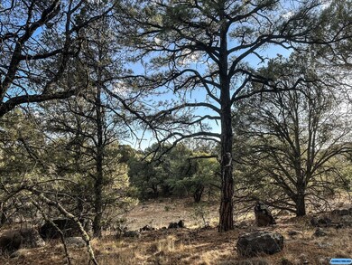 TBD Linda Dr, Silver City, NM 88061 - photo 2