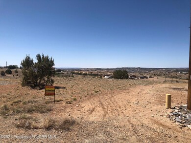 LOT 129 Road 3786, Farmington, NM 87401 - photo 4