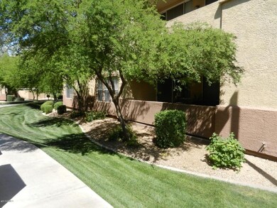 Grounds
