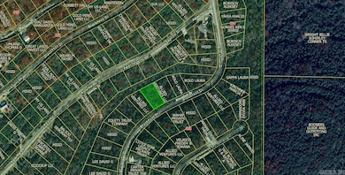 Lot 17 Blackfoot Dr, Holiday Island, AR 72631 - photo 2