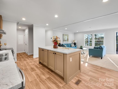 262 Appalachian Way, Mars Hill, NC 28754 - photo 6