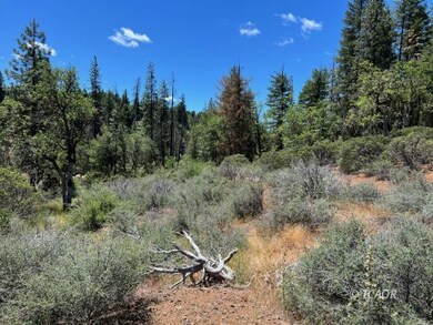 The Land