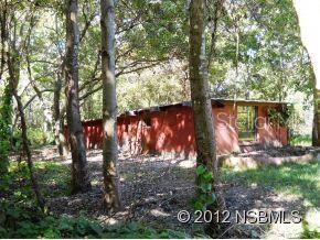 4615 Cedar Rd, New Smyrna Beach, FL 32168 - photo 5