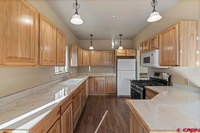 457 Animas View Dr unit 20, Durango, CO 81301 - photo 5