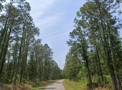 8926 Oviedo St, Sebring, FL 33872 - photo 2