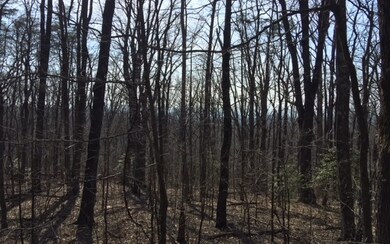 Additional View