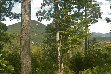 Potential wide open views with minimal tree thinni