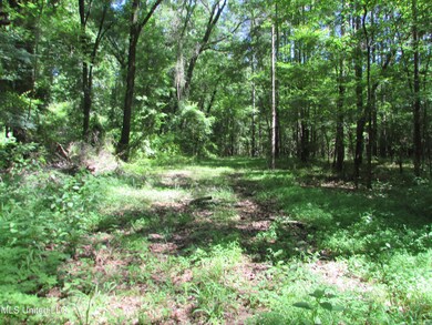 0 Bend Rd unit 4113999, Vaughan, MS 39179 - photo 6