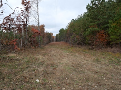 0 Tennessee 108, Altamont, TN 37301 - photo 3