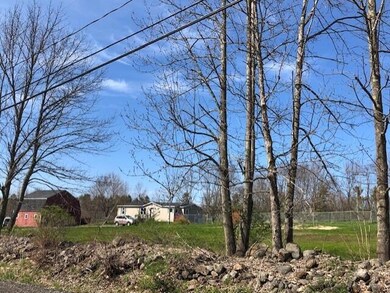 View from road