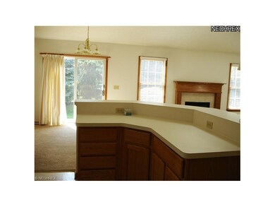 23688 Cottage Trail, Olmsted Falls, OH 44138 - photo 5