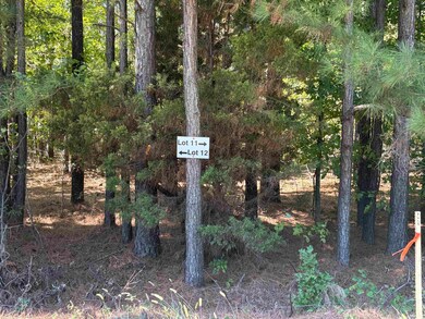 0 Bethuel Rd unit Lot 11, Unincorporated, TN 38053 - photo 3