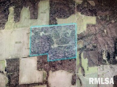 703 Buchanan Rd, Iuka, IL 62849 - photo 7