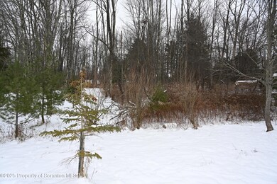 0 E Ave, Laurel Lake, PA 18812 - photo 3