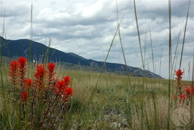 Broken Trail N, Belfry, MT 59008 - photo 2