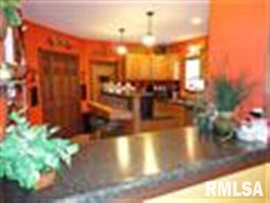 905 N Logan St, Lincoln, IL 62656 - photo 4