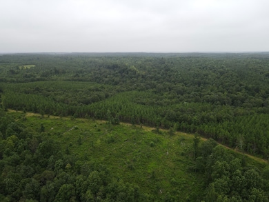 0 Old Highway 18 unit 24351588, Stewart, TN 37175 - photo 4