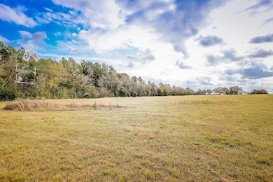20 AC County Road 3104, Gladewater, TX 75647 - photo 4