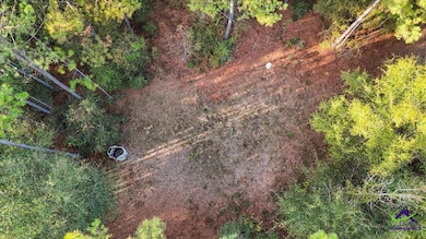 0 Massey Rd unit 257640, Tennille, GA 31089 - photo 6