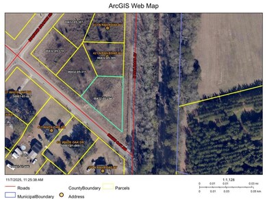 TBD N Railroad Ave, Johnsonville, SC 29555 - photo 2