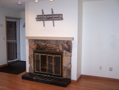 Wood Burning Fireplace