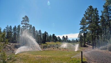 Torreon Lot 56 view from back