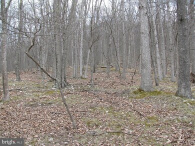 0 Settlers Valley Way unit 1000146727, Lost River, WV 26810 - photo 7