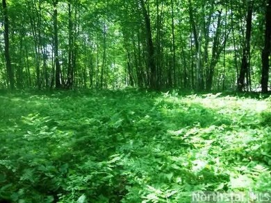 0 Moser Dr unit 4592322, Webster, WI 54893 - photo 5