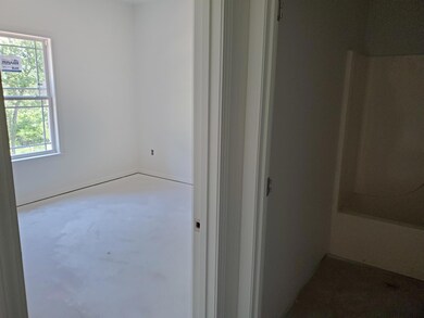 Lower level Guest Bedroom