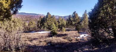 IMG_20250324_170642922_HDR