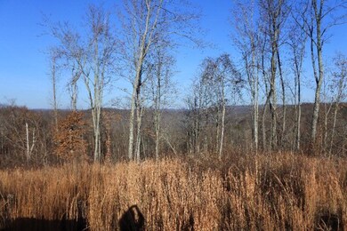 4874 Fox Knob Ln, Cookeville, TN 38506 - photo 7