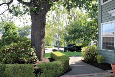 walk way in 2
