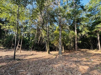 TBD Par Road 266, Franklinton, LA 70438 - photo 4