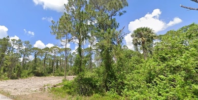 View of landscape