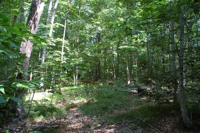 0 Wilcox Rd, Washington Island, WI 54246 - photo 3