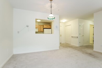 008-photo--6114658