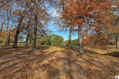 550 Cedar Point Rd, Benton, KY 42025 - photo 7