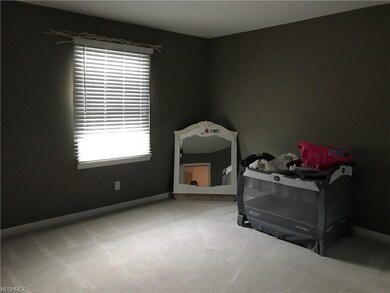 3800 State Route 164, Leetonia, OH 44431 - photo 7